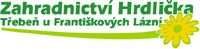 Logo, z�kladn� podoba